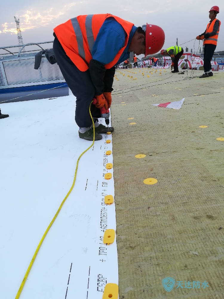 织物内增强TPO防水卷材高分子P型新型柔性防水卷材